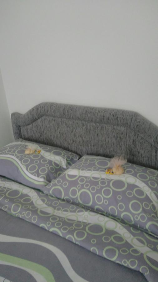 Apartment Holiday Kolašin Extérieur photo
